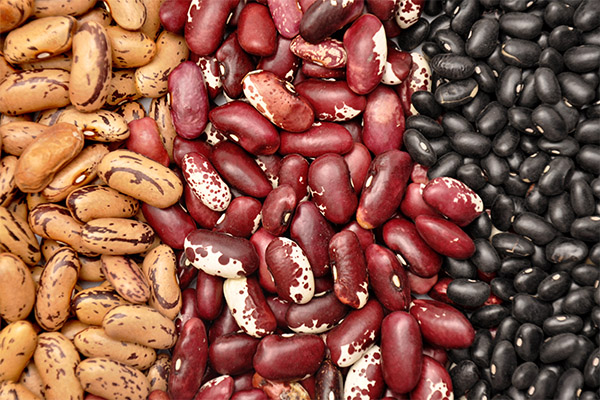 Interesting facts about beans
