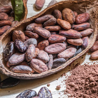 Photo of cacao beans.