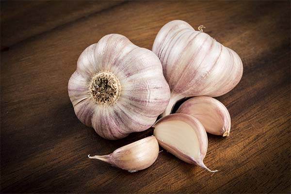 Garlic for coughs