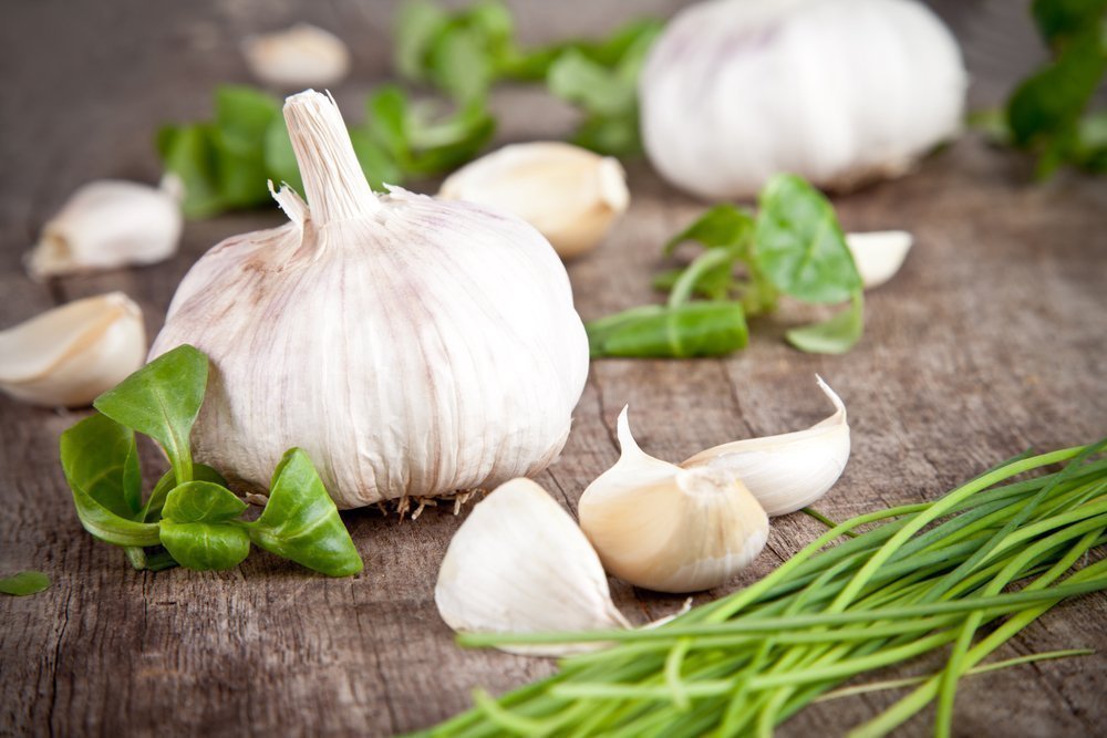 What are the benefits of garlic and onions for children?