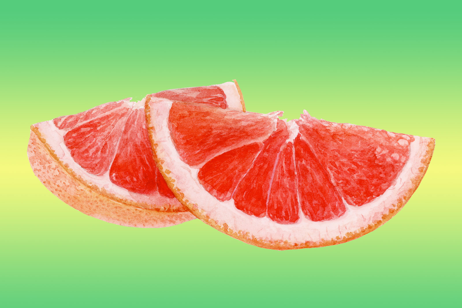 Grapefruit - composition and carbohydrate profile