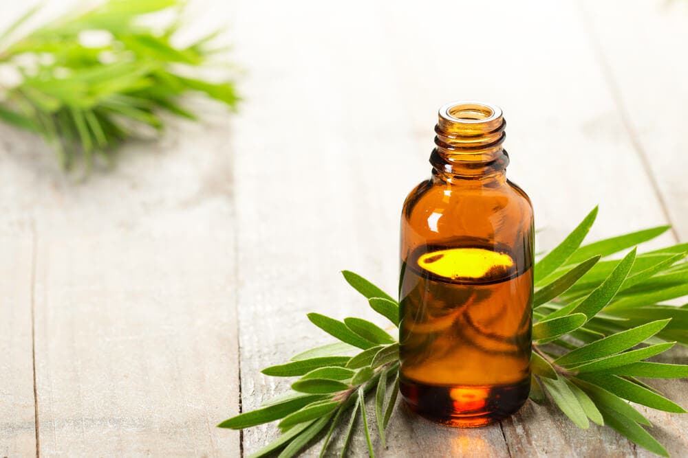 Immune-boosting aromatic oils