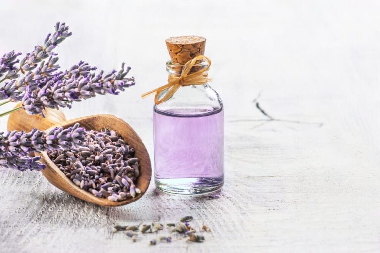 The 7 best essential oils for anxiety
